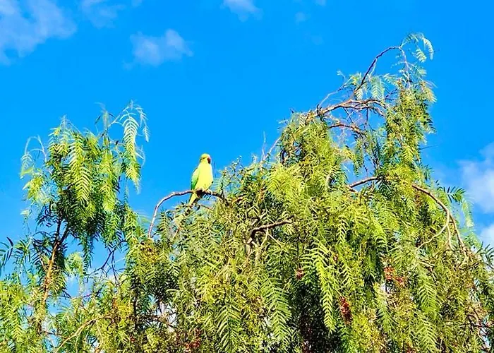 Apartmán Apart.relax